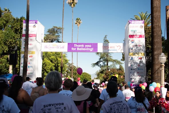 Governance and board work